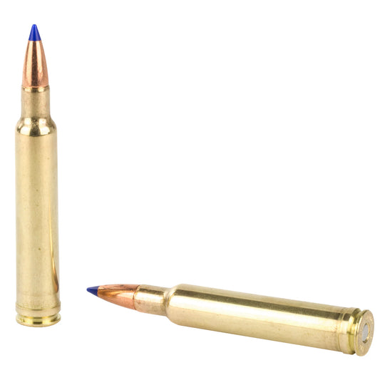 Wby Ammo 300wby 180gr Ttsx 20/200