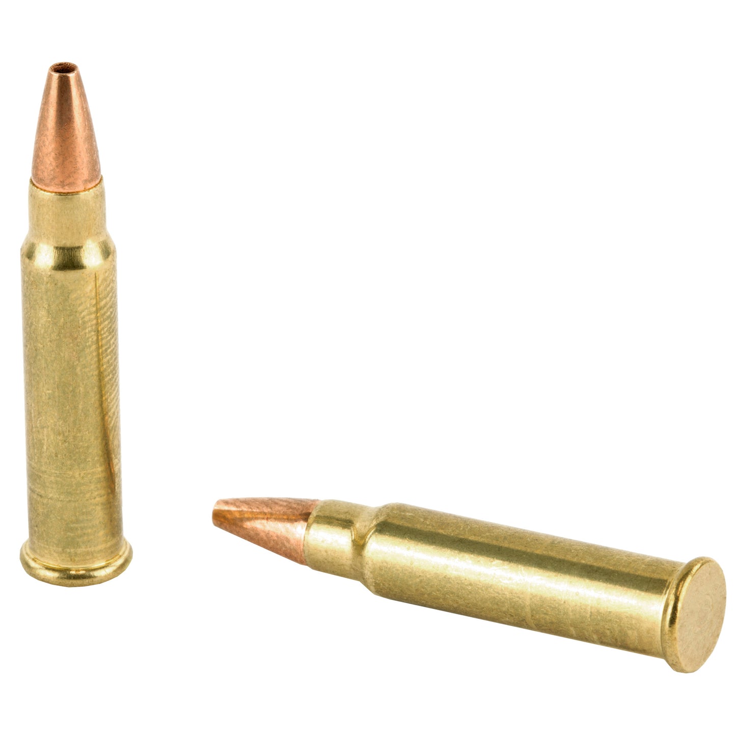 CCI Ammunition, TNT, 17 HMR, 17 Grain, Jacketed Hollow Point  (50 Round Box)